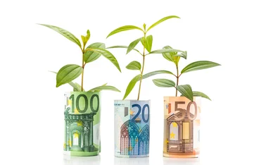 euro growth