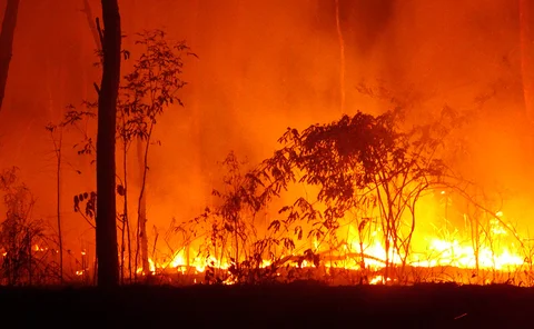 Australian bushfire