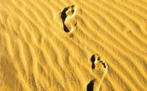 bright footprint