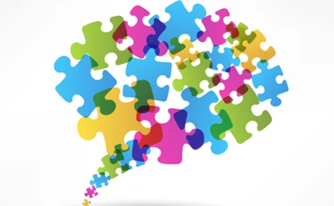 puzzle-brain