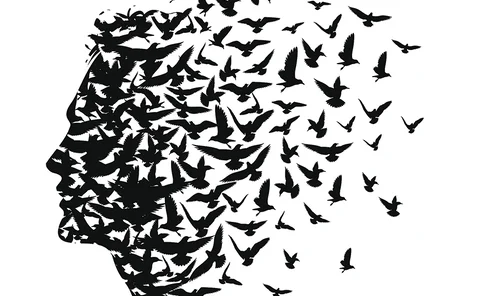 Migration