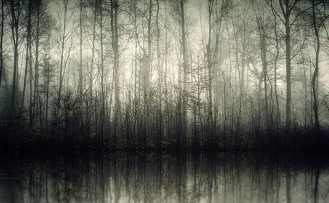 shadow-trees