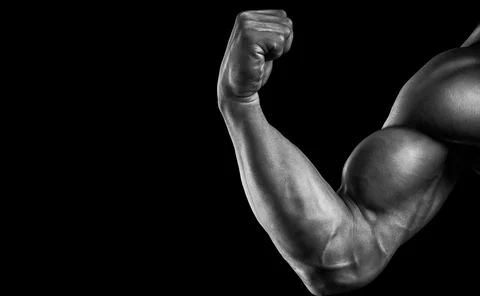 bulky-muscles