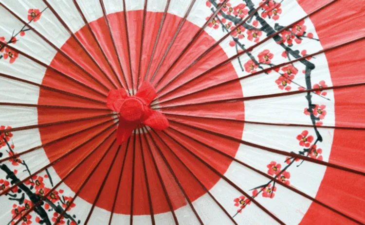 Japanese parasol Japanese parasol
