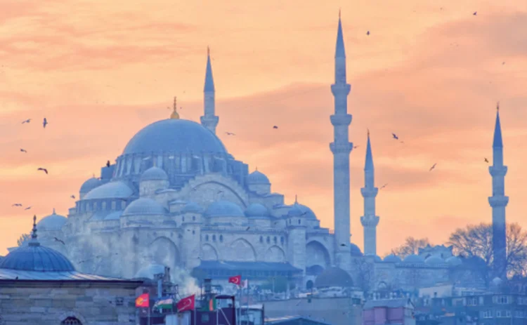 turkey turkey