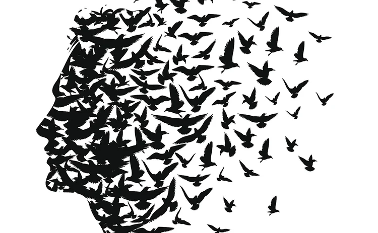 Migration Migration