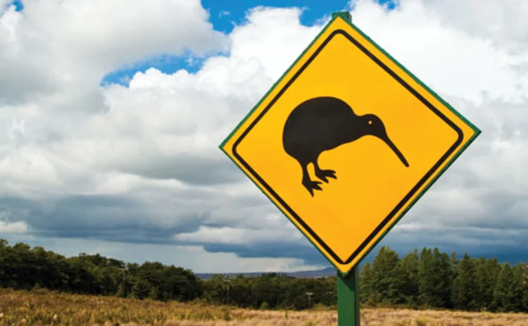 A New Zealand kiwi crossing-sign