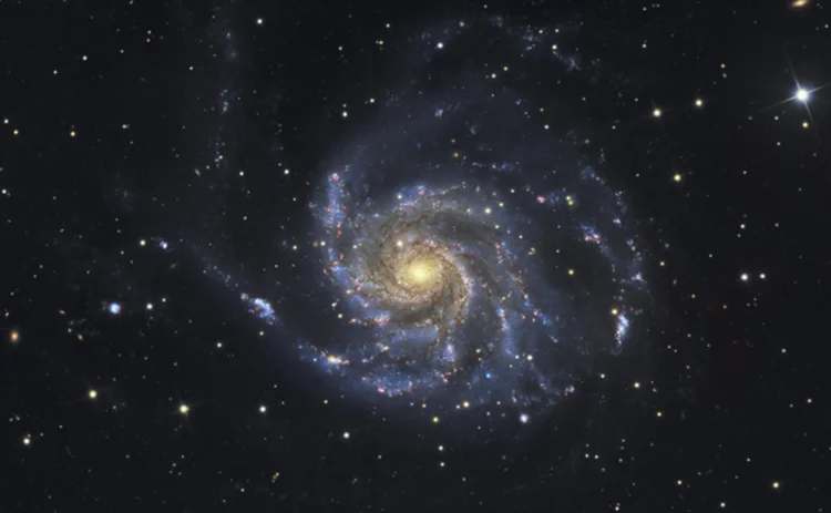 black-hole black-hole