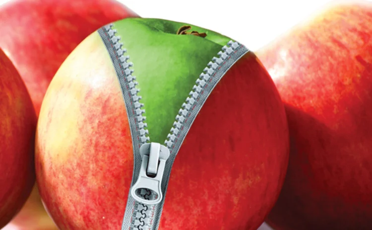 zip-apple zip-apple