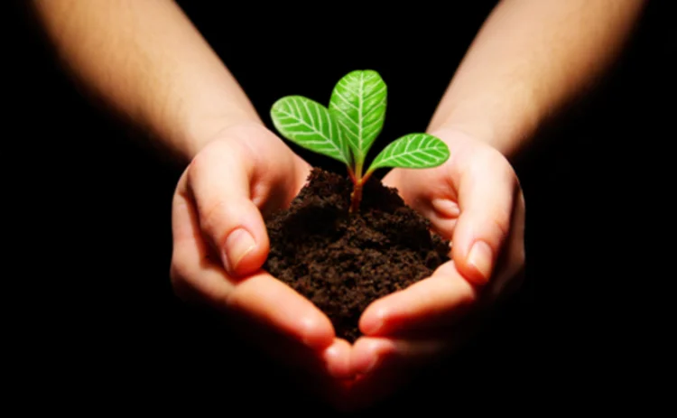 growthplant growthplant