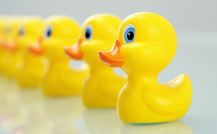 ducks-sefs-otfs-waters0314 ducks-sefs-otfs-waters0314