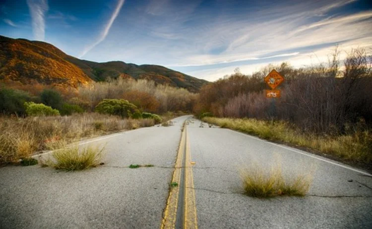 road-disappears-into-woods