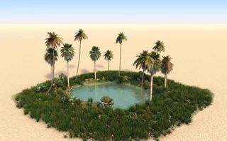 An oasis in a desert